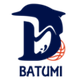 巴图米RSU logo
