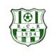 雷利扎内 logo