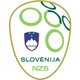 斯洛文尼亚女足U19 logo