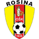 罗西纳 logo